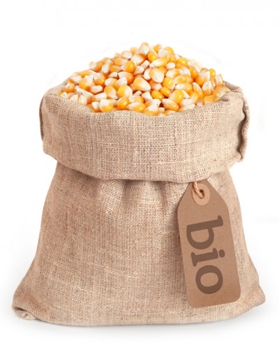 Mais in grani BIO