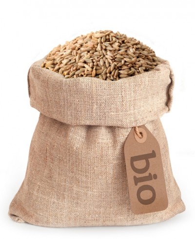 Grano di segale BIO