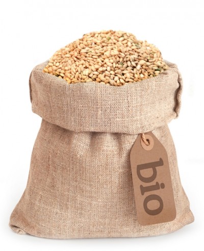 Riso integrale a chicco tondo BIO