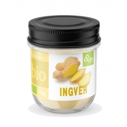 Zenzero in polvere BIO