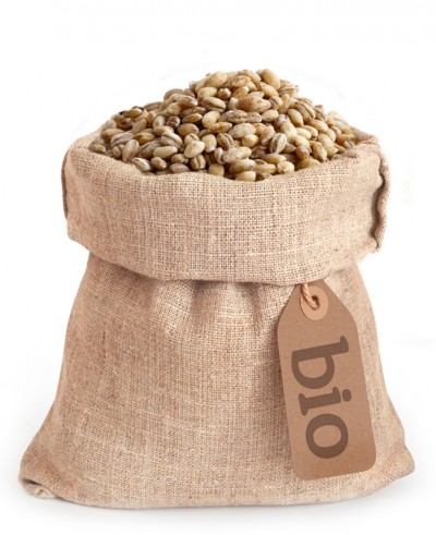 Orzo perlato - orzo biologico decorticato