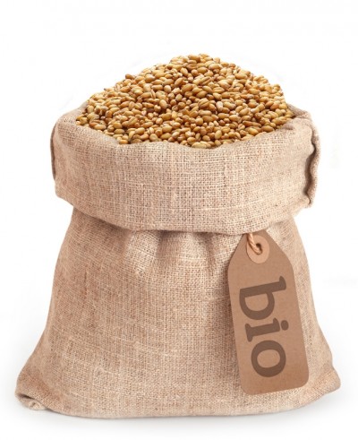 Grano tenero BIO